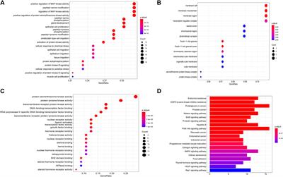 Using Network Pharmacology and Molecular Docking to Explore the Mechanism of Shan Ci Gu (Cremastra appendiculata) Against Non-Small Cell Lung Cancer